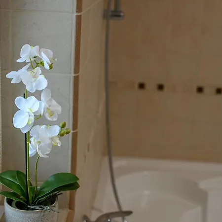 Budapest Wellness * Erd
